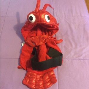 Lobster Dog Costume